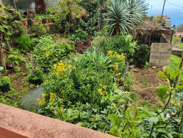 Raiz de Moradia V2 · Câmara de Lobos, Arquipélago da Madeira