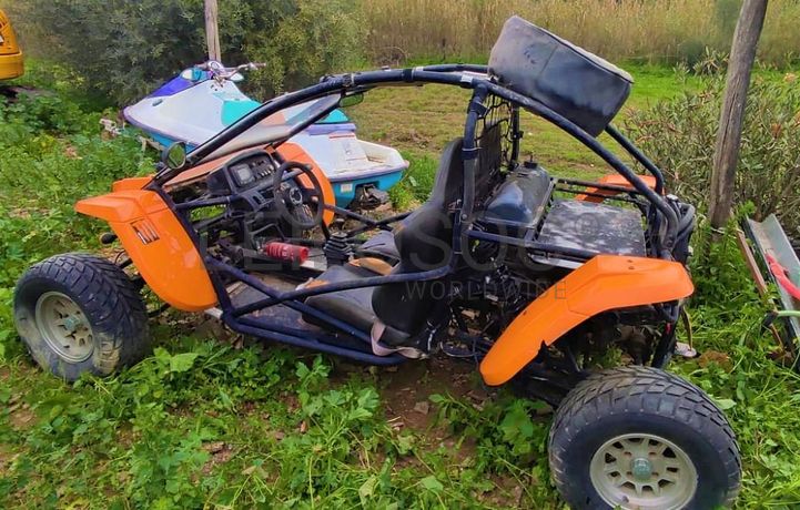 Buggy Renli RLG1-500 DZ