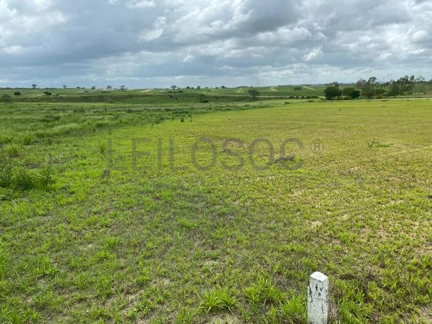 Prédios Rústicos - Luanda Leste