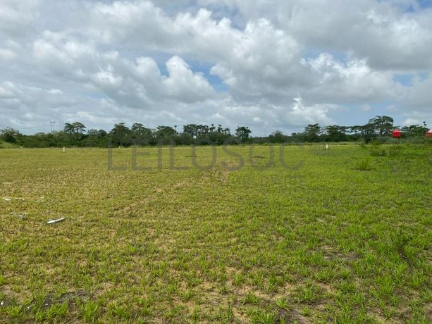 Prédios Rústicos - Luanda Leste