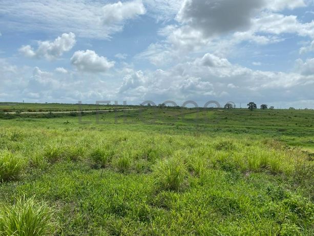 Prédios Rústicos - Luanda Leste