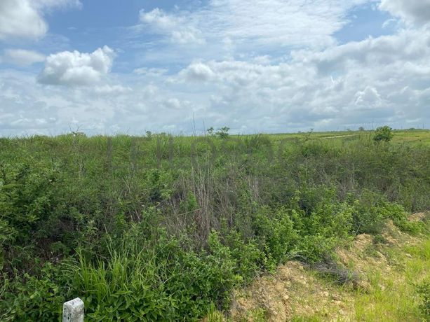 Prédios Rústicos - Luanda Leste