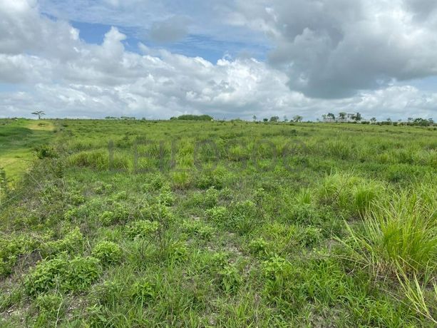 Prédios Rústicos - Luanda Leste