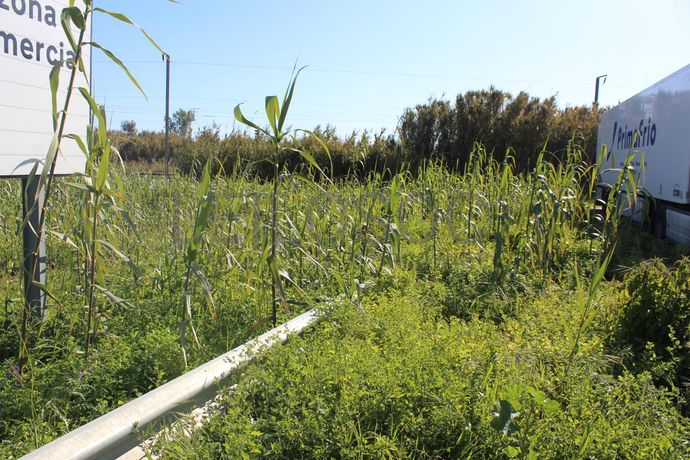 Unidade Industrial + Terreno · Vila Franca de Xira