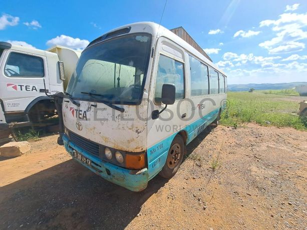 Autocarro Toyota Coaster · Samba Caju