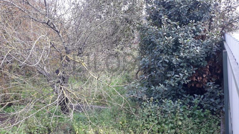 Moradia V3 com Logradouro· Rio Maior