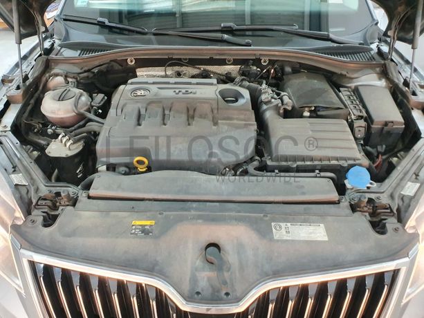 Skoda 1.6 TDI · Ano 2016