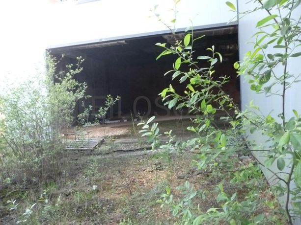 Lote para Construção c/ Benfeitoria de Armazém Industrial · Aguada de Cima, Águeda