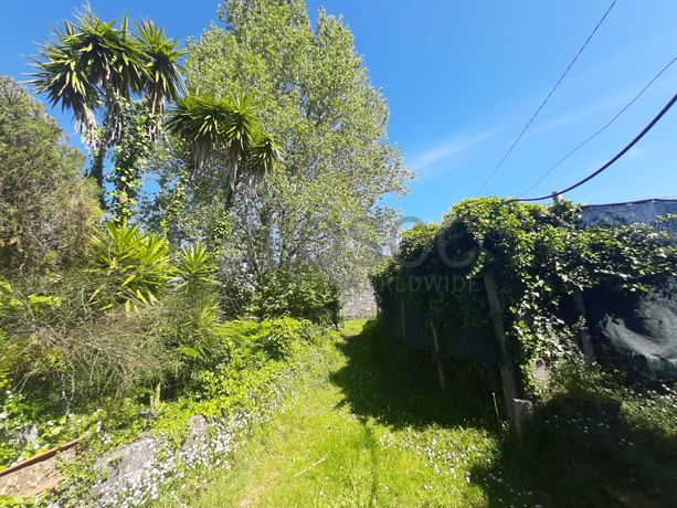 Quinta · Âncora, Caminha