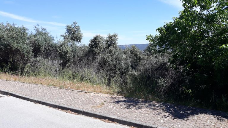 Quinhão Hereditário