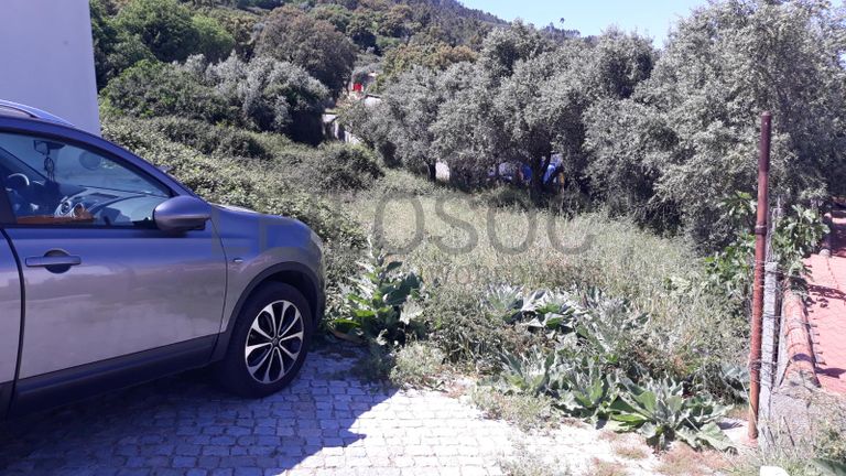 Quinhão Hereditário