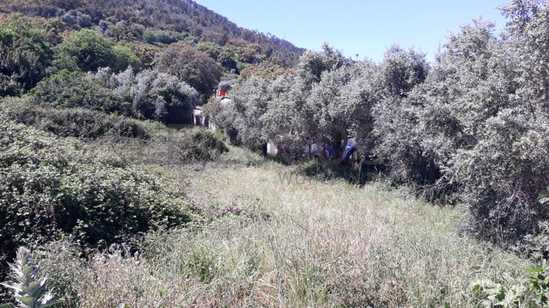 Quinhão Hereditário