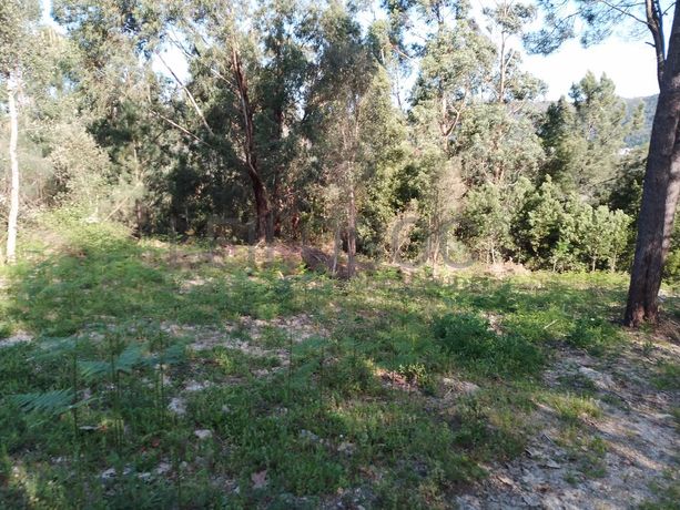 Terreno · Póvoa de Lanhoso