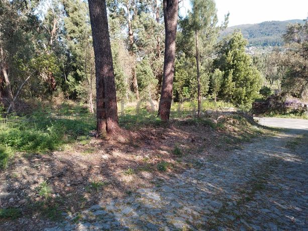 Terreno · Póvoa de Lanhoso