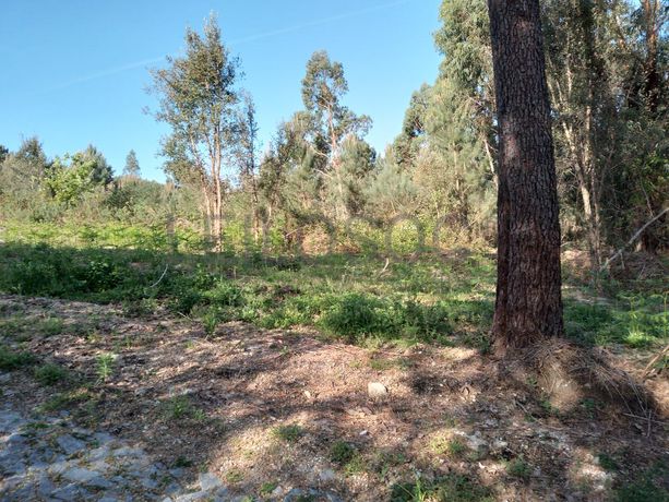 Terreno · Póvoa de Lanhoso