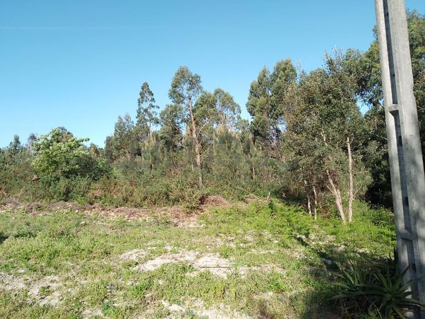 Terreno · Póvoa de Lanhoso