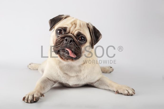 Combinação do lote A+B