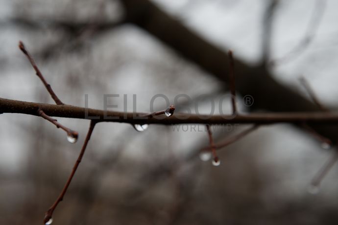 Bem para criação de lote (3) (1)