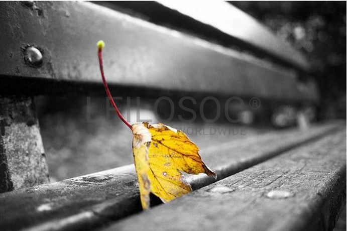 Bem para criação de lote (3) (2)