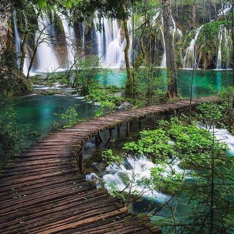 Bem para criação de lote (3) (2)