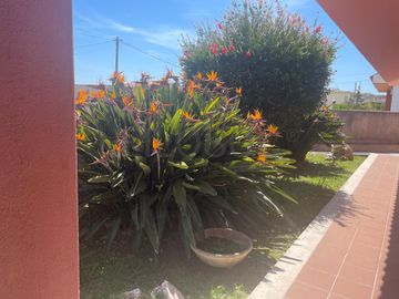 Moradia